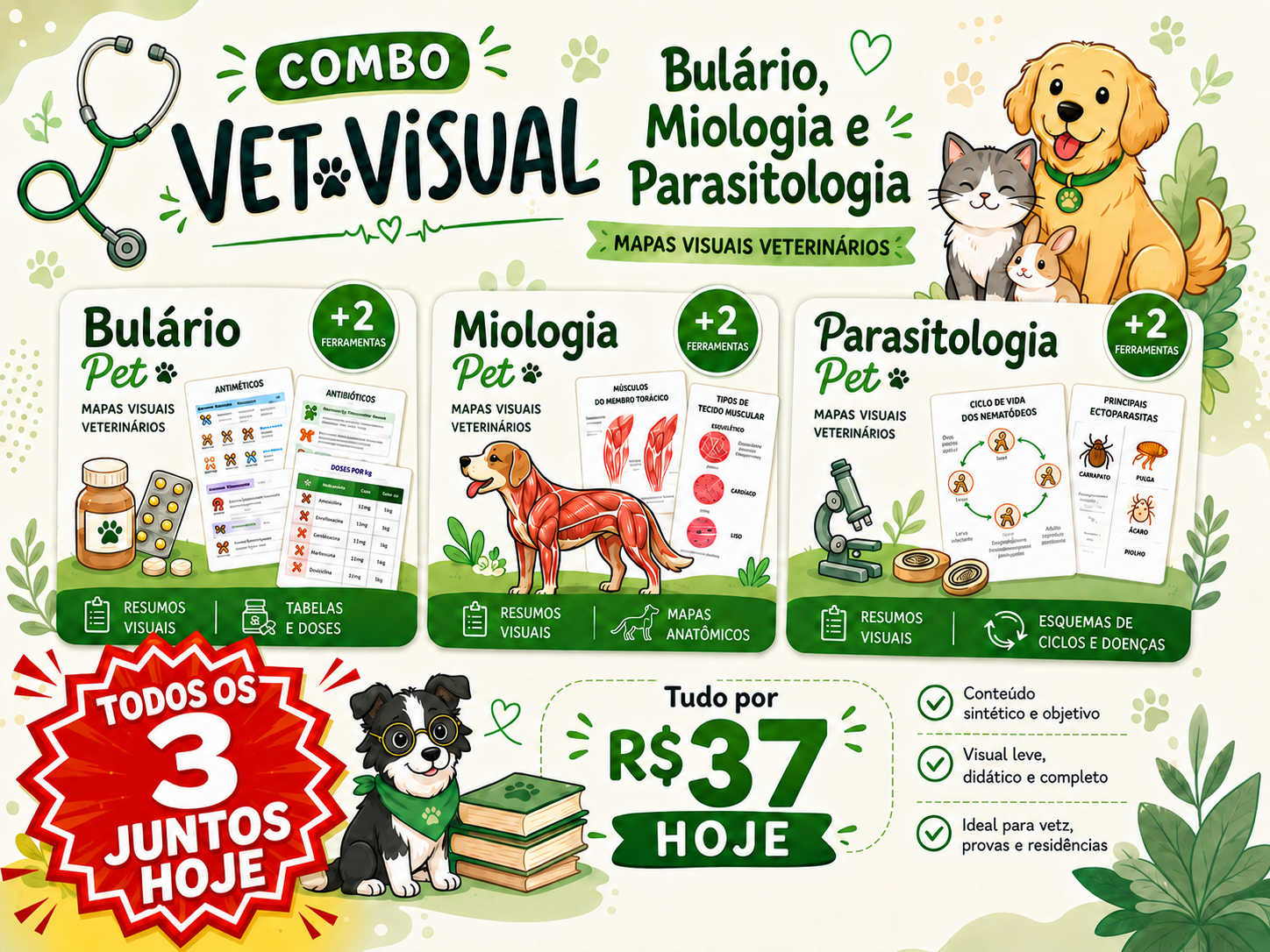 Combo completo